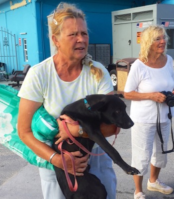 A photo from the AARF April 3, 2018 airlift of dogs and cats from Anguilla to St. Maarten to San Juan to Florida