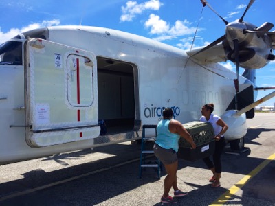 A photo from the AARF April 3, 2018 airlift of dogs and cats from Anguilla to St. Maarten to San Juan to Florida
