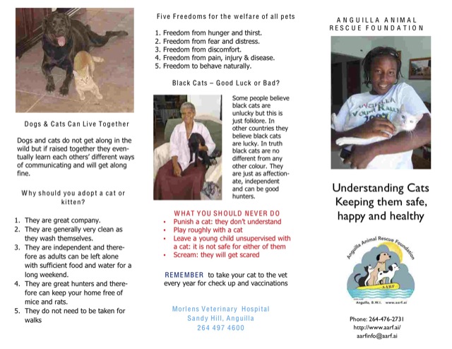 The Understanding Cats brochure from AARF highlights concepts such as the Five Animal Freedoms, why you should adopt, why black cats are OK and more