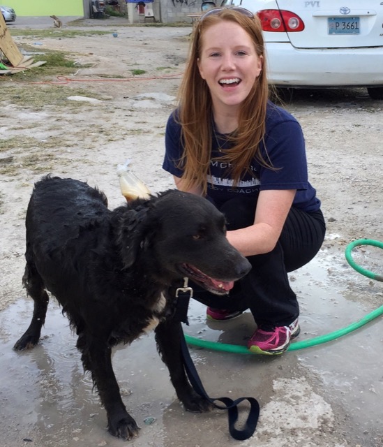 A scene from the puppy wash held on March 18, 2016 at Blowing Point