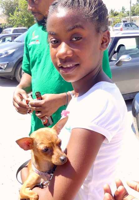 A scene from the puppy wash held on March 18, 2016 at Blowing Point