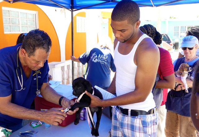 A scene from the puppy wash held on March 18, 2016 at Blowing Point