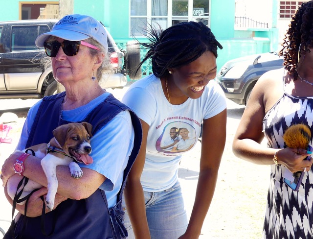 A scene from the puppy wash held on March 18, 2016 at Blowing Point