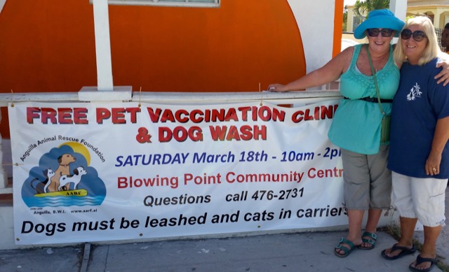 A scene from the puppy wash held on March 18, 2016 at Blowing Point