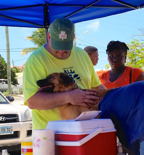 A scene from the puppy wash held on March 18, 2016 at Blowing Point