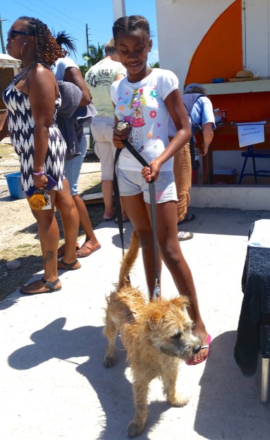 A scene from the puppy wash held on March 18, 2016 at Blowing Point