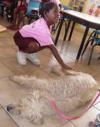A student learns how to approach a dog safely