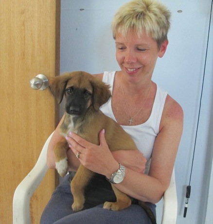 A photo showing a day in the life of an AARF volunteer