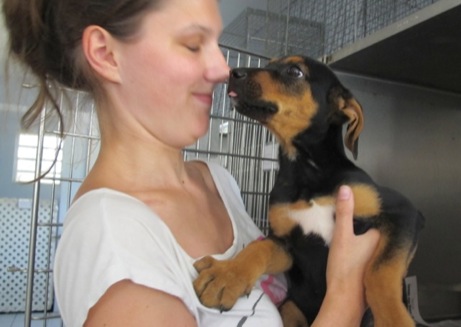A photo showing a day in the life of an AARF volunteer