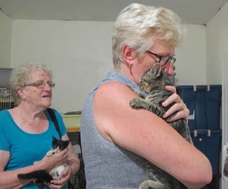 A photo showing a day in the life of an AARF volunteer