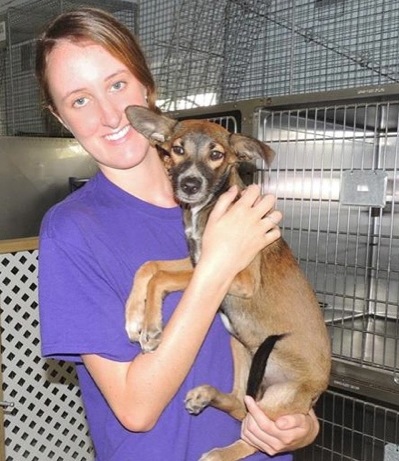 A photo showing a day in the life of an AARF volunteer