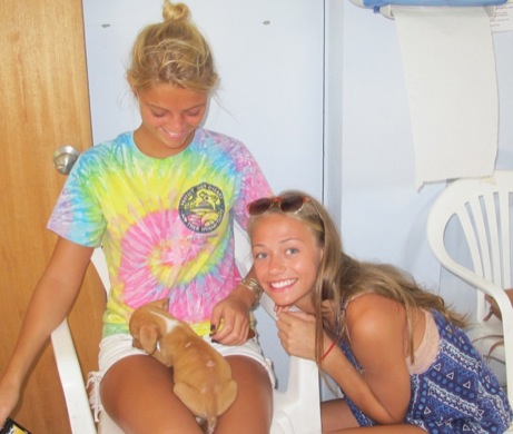 A photo showing a day in the life of an AARF volunteer