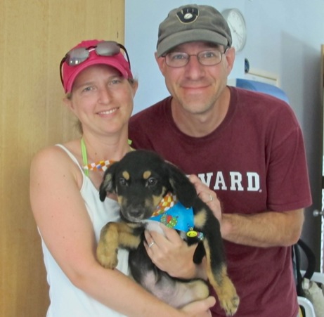 A photo showing a day in the life of an AARF volunteer