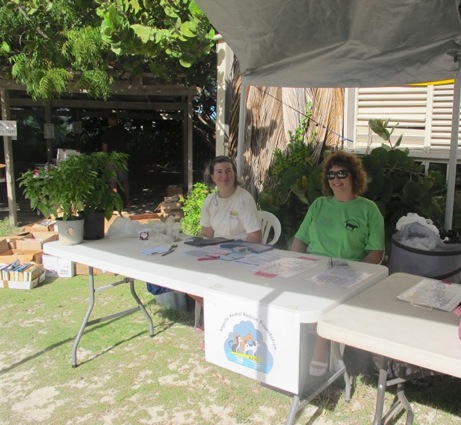 A photo showing a day in the life of an AARF volunteer
