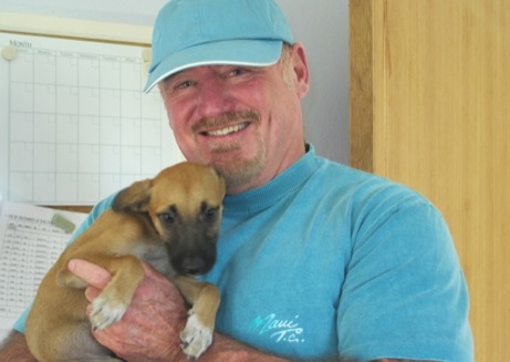 A photo showing a day in the life of an AARF volunteer