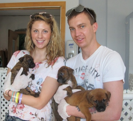 A photo showing a day in the life of an AARF volunteer