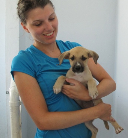 A photo showing a day in the life of an AARF volunteer