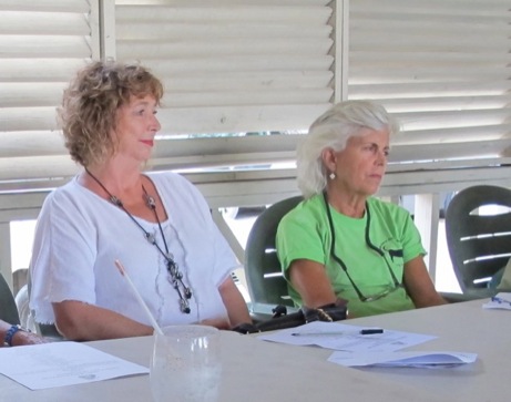 A photo showing a day in the life of an AARF volunteer