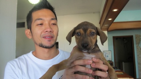 A photo showing a day in the life of an AARF volunteer
