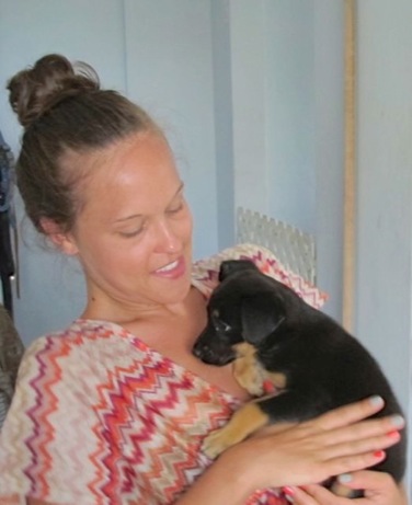 A photo showing a day in the life of an AARF volunteer