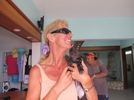 A photo showing a day in the life of an AARF volunteer