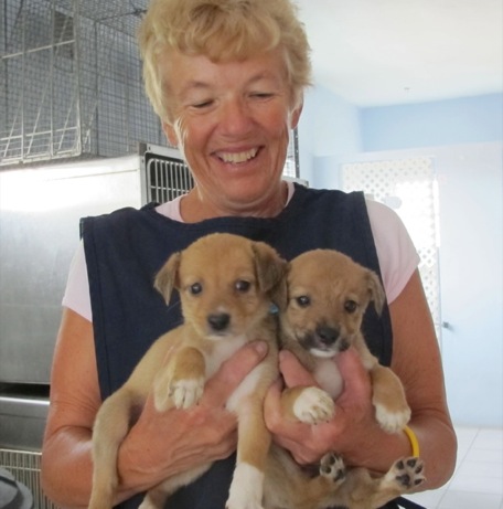 A photo showing a day in the life of an AARF volunteer