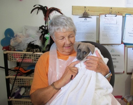 A photo showing a day in the life of an AARF volunteer
