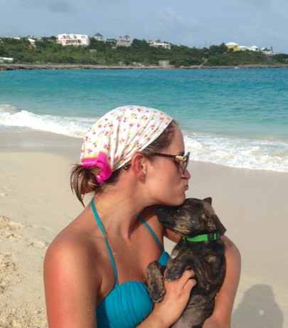 A photo showing a day in the life of an AARF volunteer