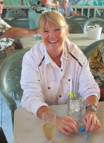 A photo showing a day in the life of an AARF volunteer