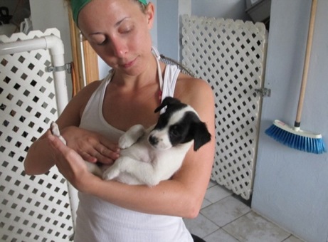 A photo showing a day in the life of an AARF volunteer