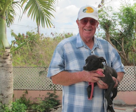 A photo showing a day in the life of an AARF volunteer