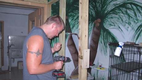 A photo showing a day in the life of an AARF volunteer