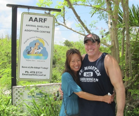 A photo showing a day in the life of an AARF volunteer
