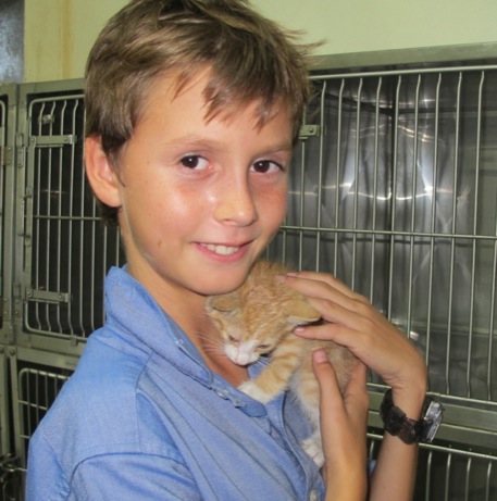 A photo showing a day in the life of an AARF volunteer
