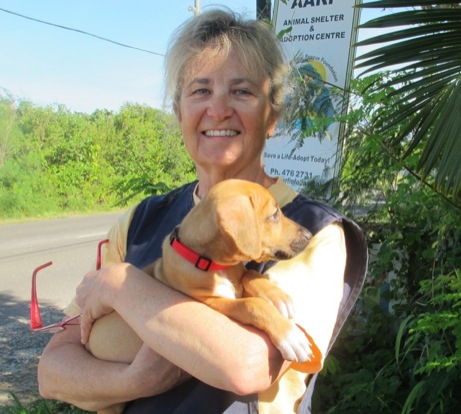 A photo showing a day in the life of an AARF volunteer