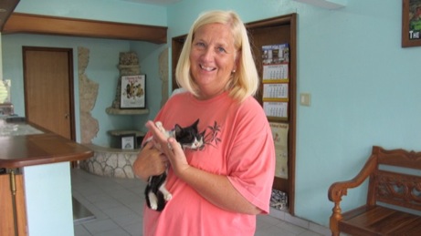 A photo showing a day in the life of an AARF volunteer