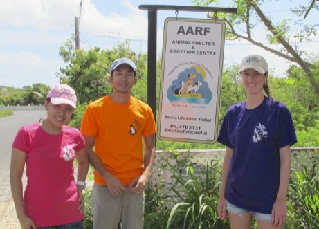 A photo showing a day in the life of an AARF volunteer