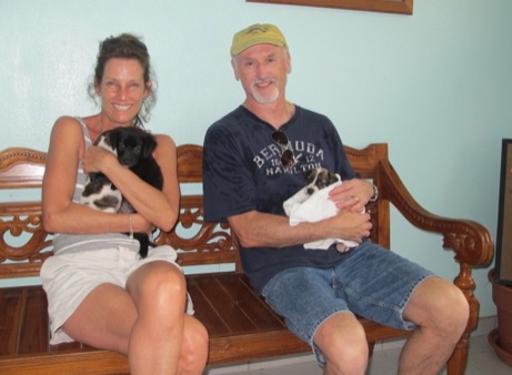 A photo showing a day in the life of an AARF volunteer