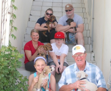 A photo showing a day in the life of an AARF volunteer