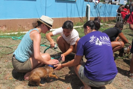 At the Puppy Wash event A photo showing the puppy wash event