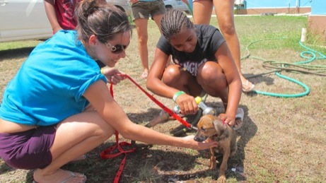 At the Puppy Wash event A photo showing the puppy wash event