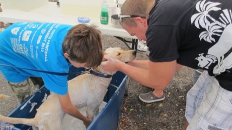 At the Puppy Wash event A photo showing the puppy wash event
