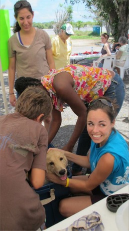 At the Puppy Wash event A photo showing the puppy wash event