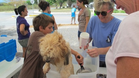 At the Puppy Wash event A photo showing the puppy wash event